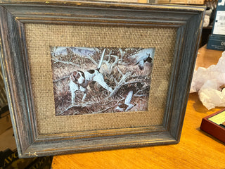 Vintage Framed Hunting Dog Picture Under Glass