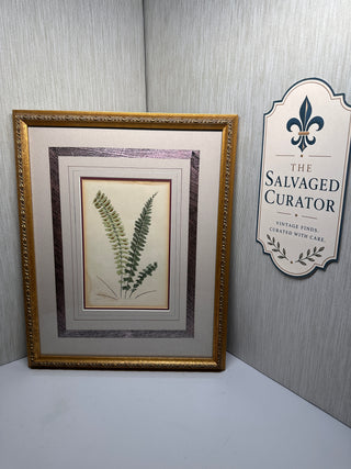 Ethan Allen Home Collection "Asplenium Monanthemum" Framed Botanical Fern Print