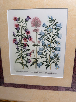 Vintage Ethan Allen Home Collection Framed Botanical Print, No. 07-1505 A