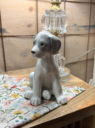 Gray / white Dog