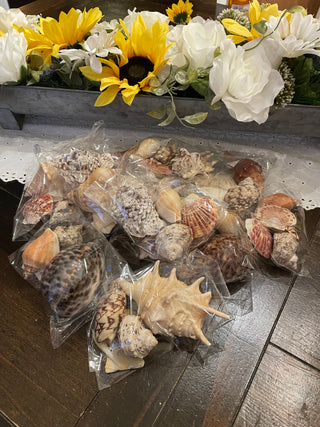 Decorative Assorted Natural Seashell Grab Bag – Beach & Coastal Décor