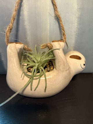 Sloth airplant hanging pot