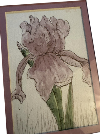 VTG Botanical Watercolor Framed Print