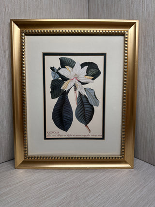 Vintage Style Framed Magnolia Botanical Print Gold Frame 11.5x9.5 Wall Decor