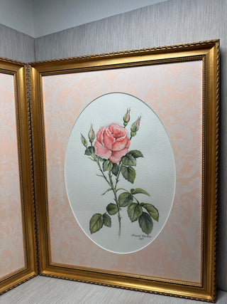 Gallery-Framed Botanical Rose Prints Custom Framed Pair 1989