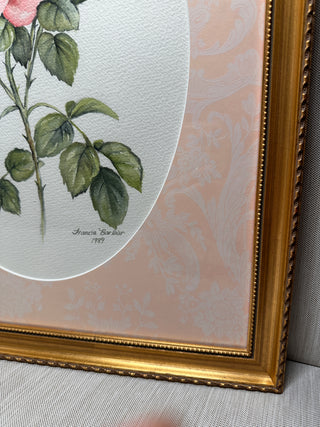 Gallery-Framed Botanical Rose Prints Custom Framed Pair 1989