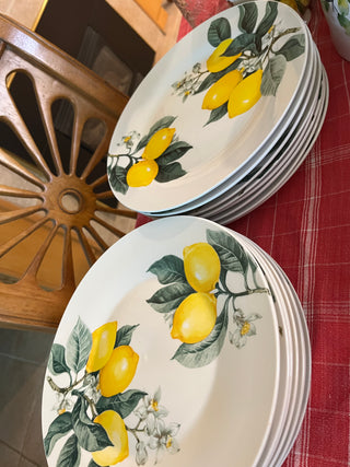 Royal NorFolk 10 1/4" Lemon Dinner Plate
