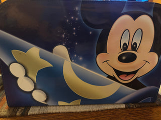 2009 Disney exclusive cruise vacation case
