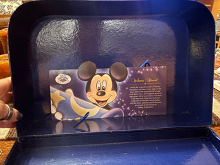 2009 Disney exclusive cruise vacation case