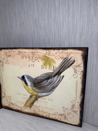 Set of 2 Vintage-Inspired Bird Illustration Wall Art Plaques