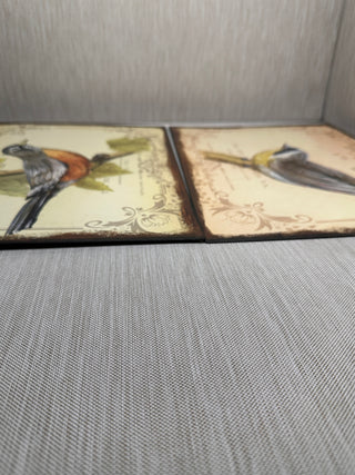 Set of 2 Vintage-Inspired Bird Illustration Wall Art Plaques