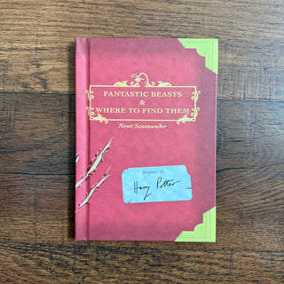 Fantastic Beasts Book
