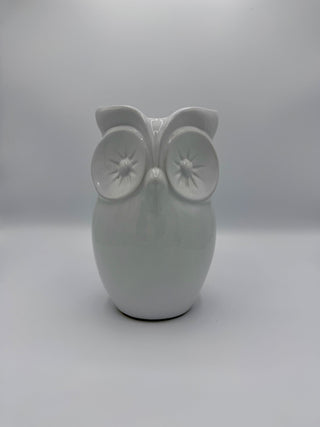 CR - Hedwig Owl