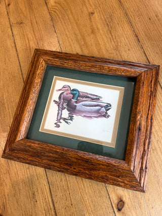 Mallard Framed Print 1981 Brian Wheeler