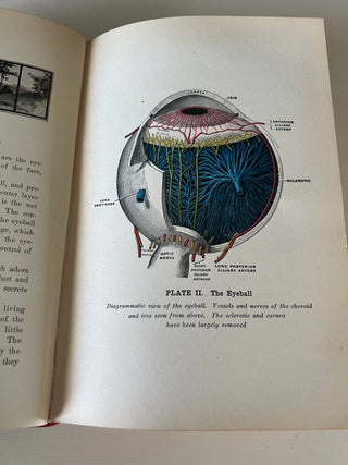 Antique Practical Guide to Health book