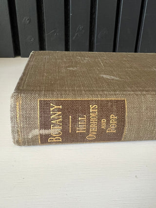 Antique Botany textbook
