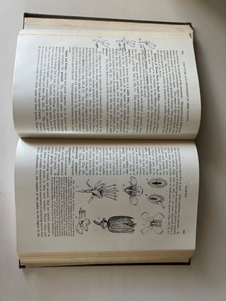 Antique Botany textbook