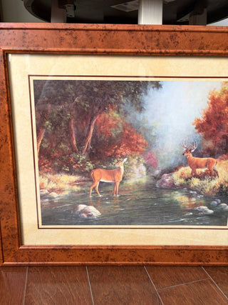 1966 Animals At My Doorstep Helen Hoover RSV