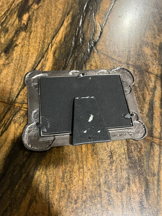 Sand Dollar Picture Frame
