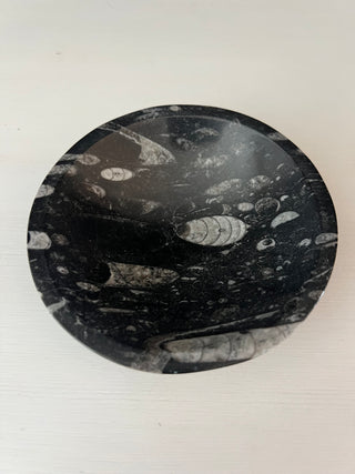 Black stone fossil bowl