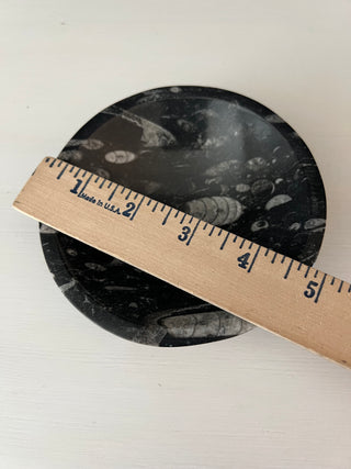 Black stone fossil bowl