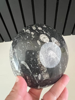 Black stone fossil bowl