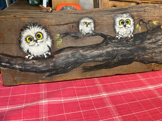 Hand Painted Owl Family on Rustic Plank