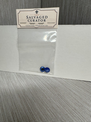 Pair of Blue Shank Resin Buttons
