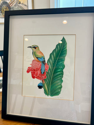 Motmot Bird by Diaz-Bastin