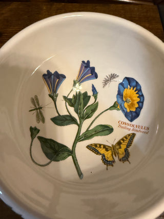 Portmeiron England Botanic Garden salad/Dessert bowl Butterfly dragonfly