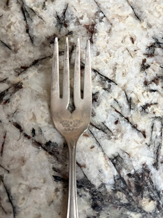 10 Vintage Oneida Bridal Wreath Community Silver