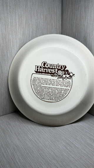 Blueberry Pie Recipe Plate Pan Dish 1970s 1980s 11" Country Harvest Royal China