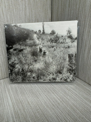 Path Up the Hill Tall Grass Postcard Art Book Print 4.75x4 Pierre Auguste Renoir