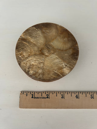 Capiz shell coasters set of 4