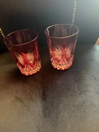Ruby Red Tumbler Set