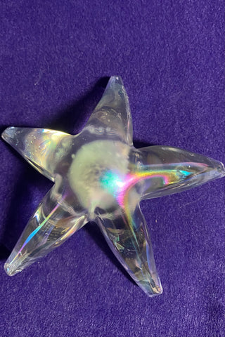 Handblown Starfish Paperweight