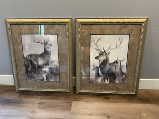 Set of 2 Paragon  Gallery Framed Deer & Stag Wildlife Art Prints
