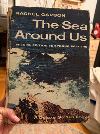 The Sea Around Us, 1985