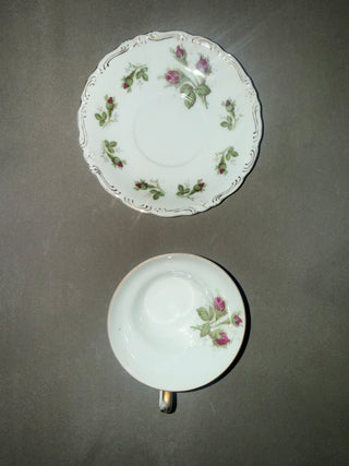 vintage three-footed "Moss Rose" porcelain teacup and saucer set