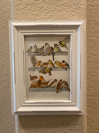 Marjolein Bastin bird print in shabby frame RCD
