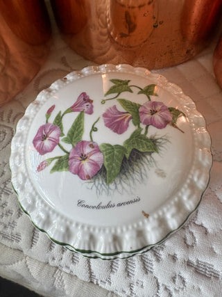 Royal Vale Wildflowers Trinket Box