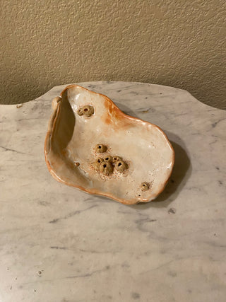 Artisan ceramic shell shaped barnacle pottery