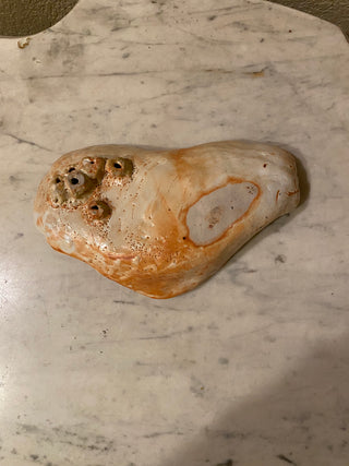 Artisan ceramic shell shaped barnacle pottery