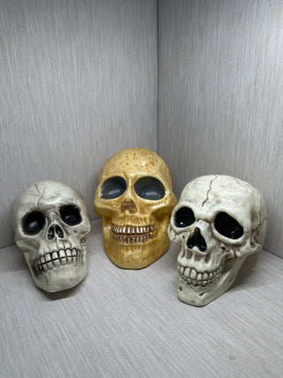 Assorted Gothic Plastic Skull Figurines Aged Bone Halloween Prop Decor
