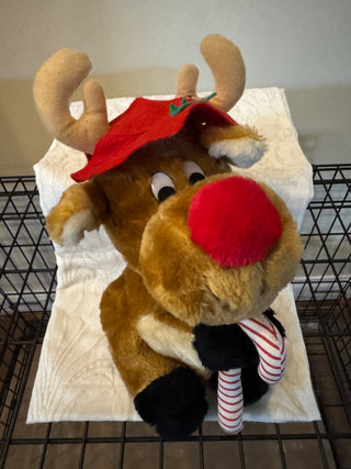Red Nose Reindeer House of Lloyd