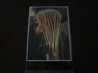 Postcard - Lehman Caves Postcard