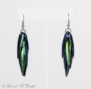 Genuine Beetle Elytra Earrings