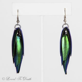 Genuine Beetle Elytra Earrings