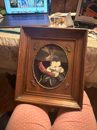 3 D Frame  16" H X 14" W with a red robbin on a flower branch