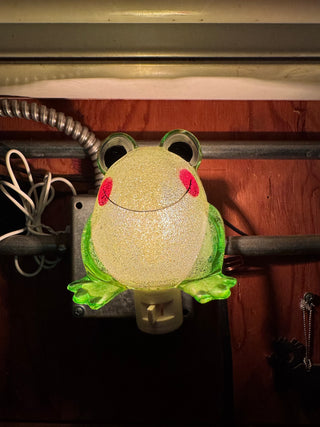Vtg Frog Acrylic Night Light